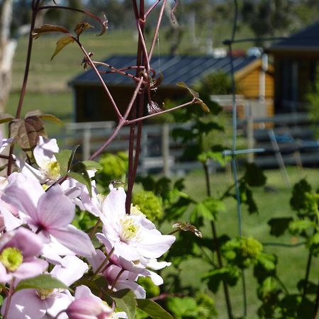 Hazelcreek Cottages Exeter Eksteriør bilde