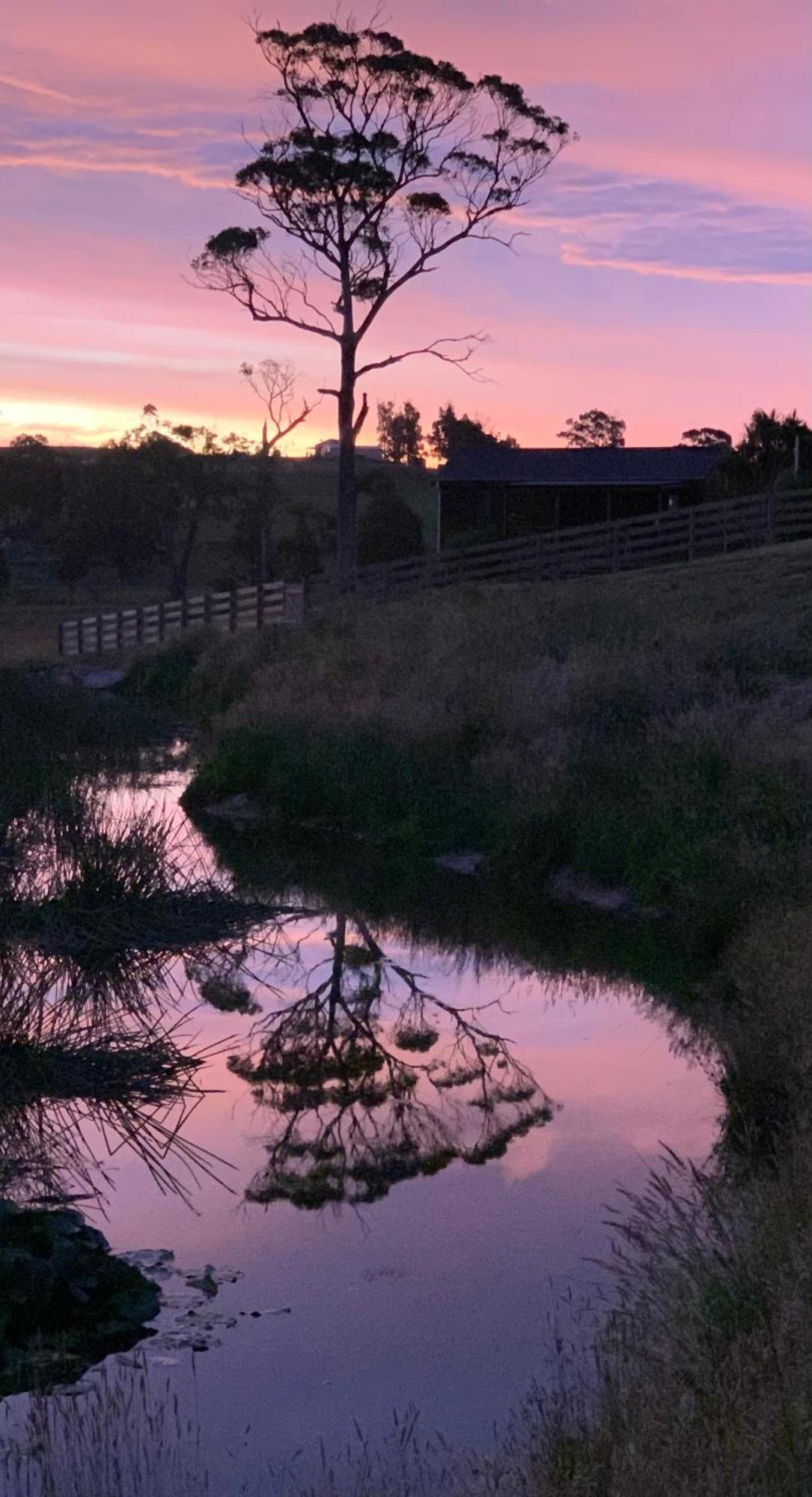 Hazelcreek Cottages Exeter Eksteriør bilde